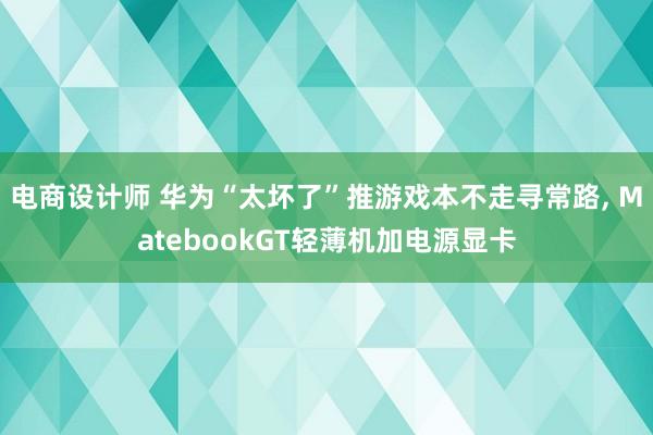 电商设计师 华为“太坏了”推游戏本不走寻常路, MatebookGT轻薄机加电源显卡